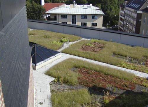 Groendak