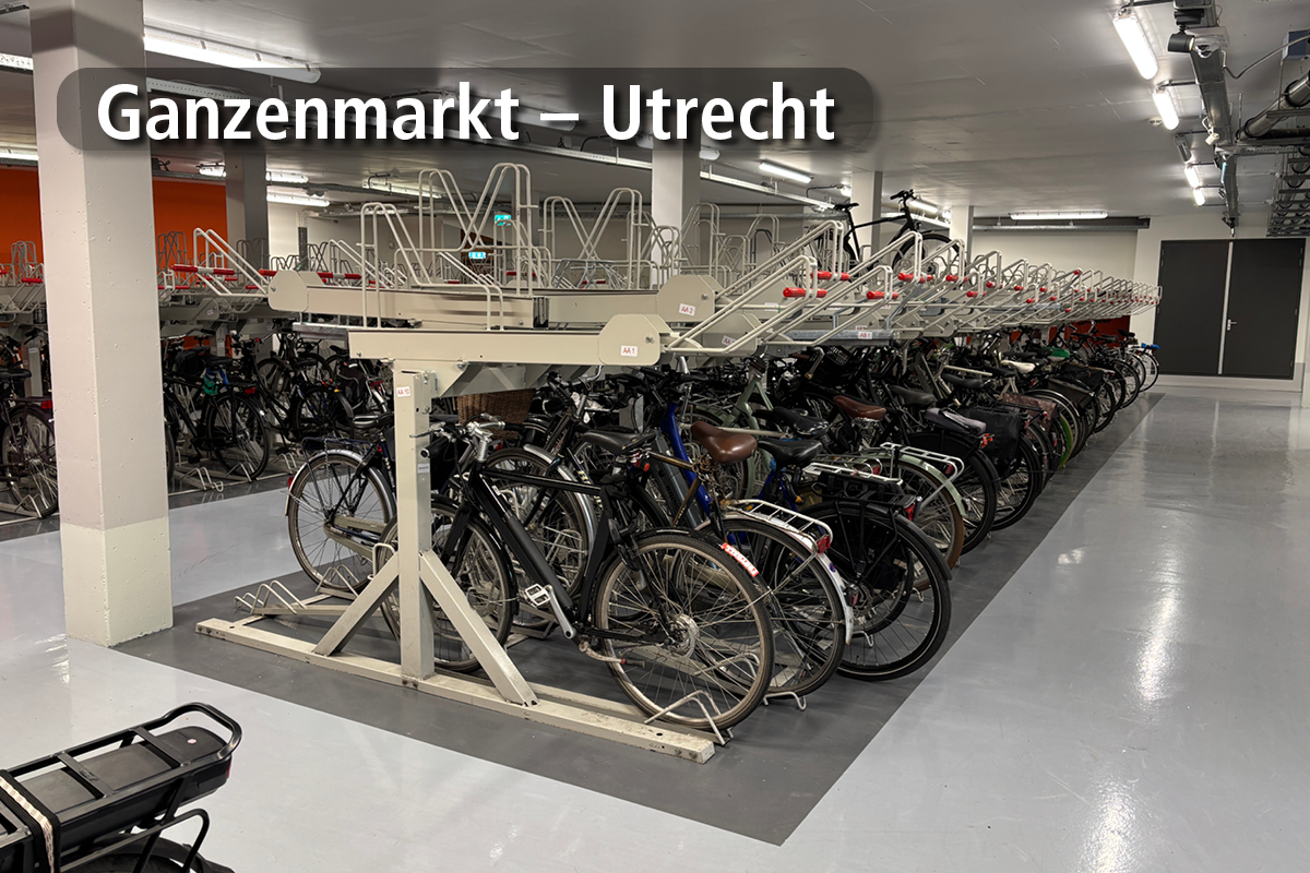 Ganzenmarkt