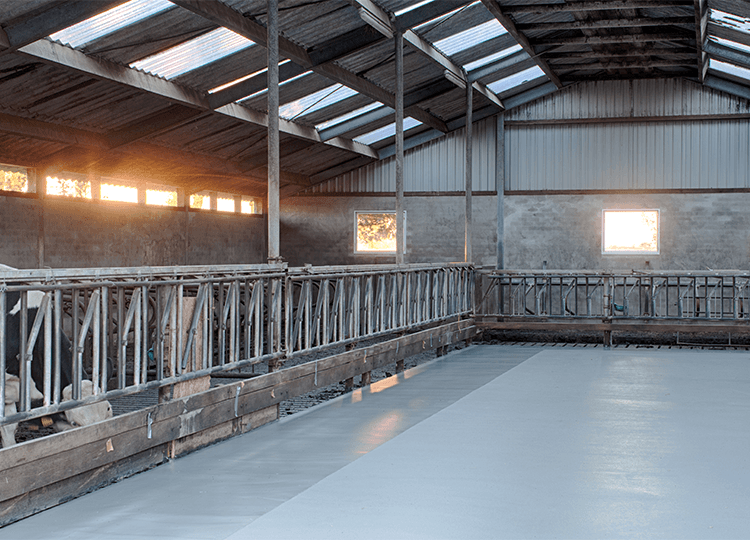 Agrarische sector Voergang melkveebedrijf Triflex